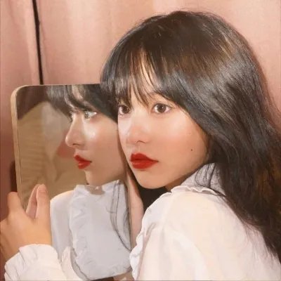 隐形红翼